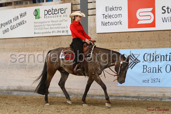32-ApHC OWP_017.jpg